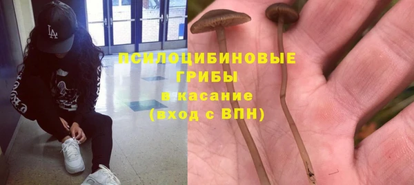 а пвп мука Осинники