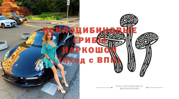 а пвп мука Осинники