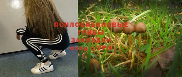 соль ск Абаза