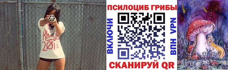 Галлюциногенные грибы Cubensis  Александровск-Сахалинский 