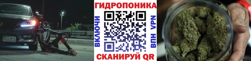 Марихуана гибрид  Александровск-Сахалинский 